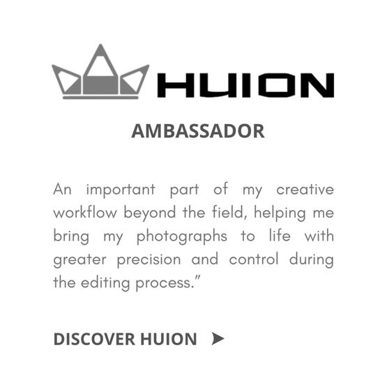 Huion Huion
