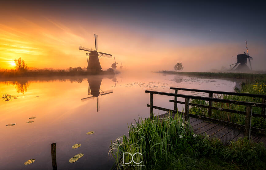 Netherlands Netherlands