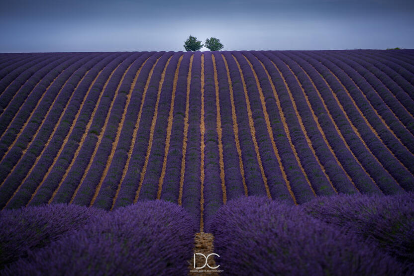 France France